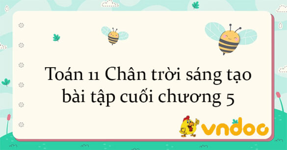 Toán 11 Chân trời sáng tạo bài tập cuối chương 5