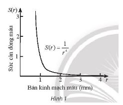 Toán 11 Chân trời sáng tạo bài tập cuối chương 7