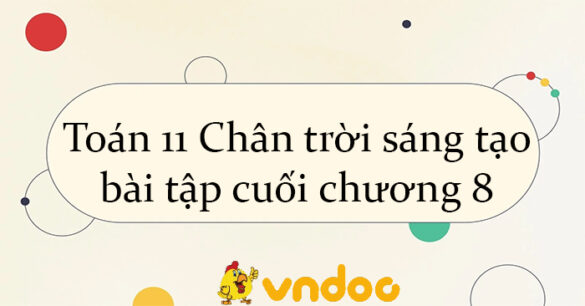 Toán 11 Chân trời sáng tạo bài tập cuối chương 8