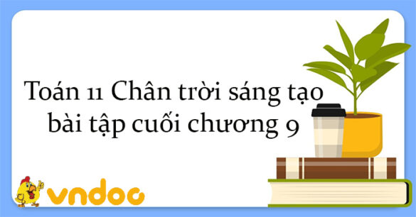 Toán 11 Chân trời sáng tạo bài tập cuối chương 9