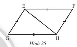 Hình 25