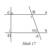 Hình 17