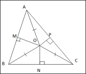 Bài 2