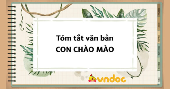 Tóm tắt Con chào mào lớp 6 Ngắn gọn nhất