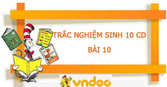 Trắc nghiệm Sinh 10 Bài 10  CD