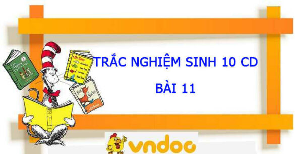 Trắc nghiệm Sinh 10 Bài 11 CD