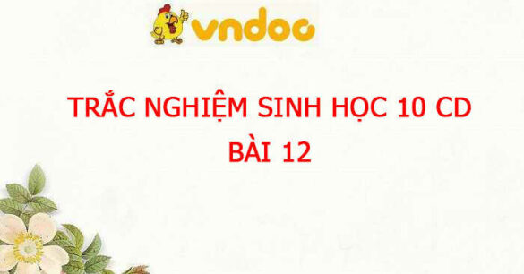 Trắc nghiệm Sinh 10 Bài 12 CD