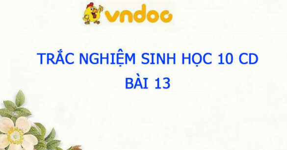 Trắc nghiệm Sinh 10 Bài 13 CD