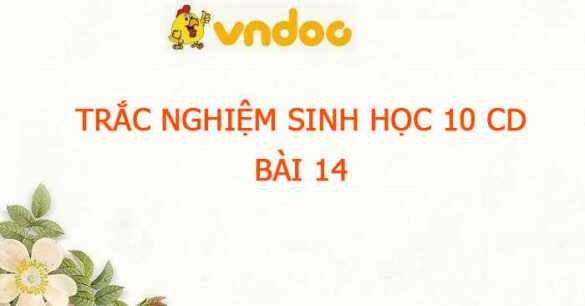 Trắc nghiệm Sinh 10 Bài 14 CD