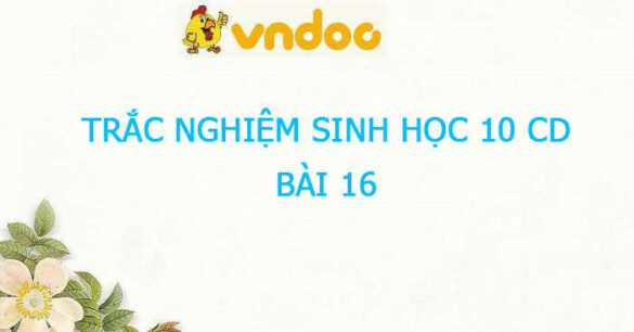 Trắc nghiệm Sinh 10 Bài 16 CD