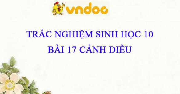 Trắc nghiệm Sinh 10 Bài 17 CD