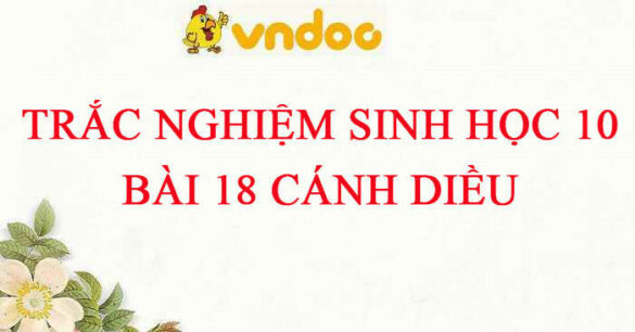 Trắc nghiệm Sinh 10 Bài 18 CD