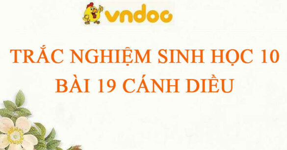 Trắc nghiệm Sinh 10 Bài 19 CD