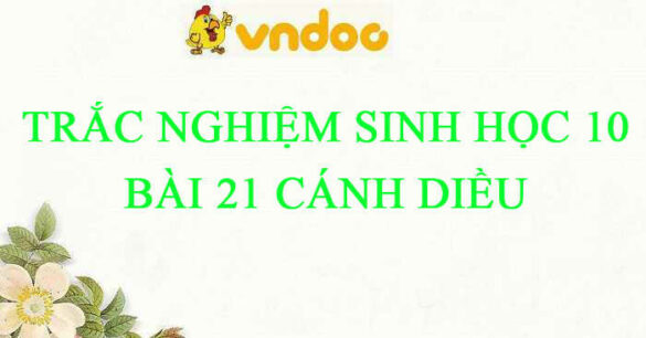 Trắc nghiệm Sinh 10 Bài 21 CD