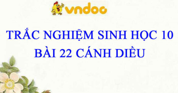 Trắc nghiệm Sinh 10 Bài 22 CD