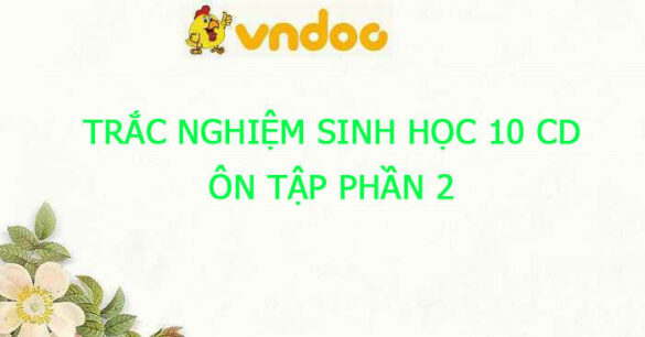 Trắc nghiệm Sinh 10 Bài Ôn tập phần 2  CD