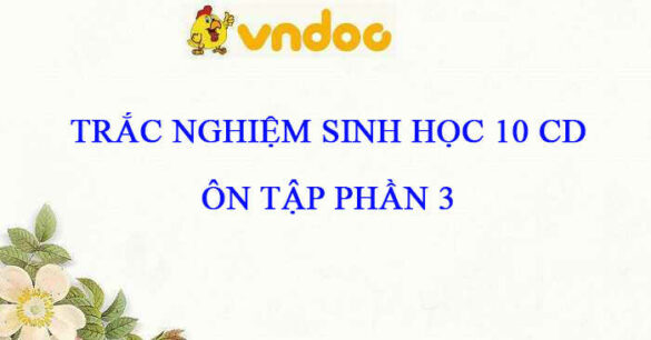 Trắc nghiệm Sinh 10 Bài Ôn tập phần 3 CD