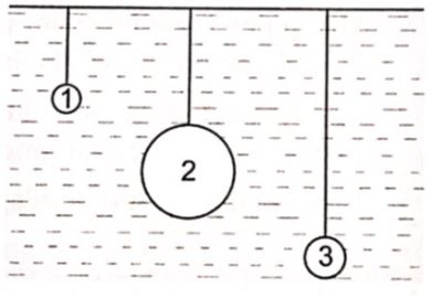 Vật Lí 10 Cánh diều Bài 4: Khối lượng riêng. Áp suất chất lỏng