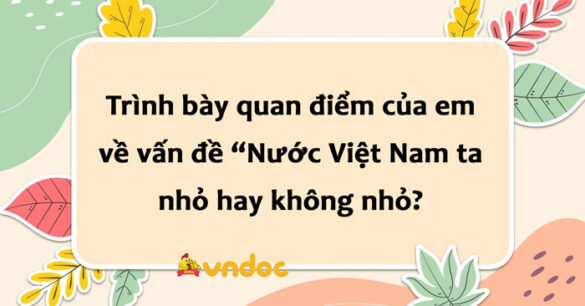 Trình bày quan điểm về vấn đề “Nước Việt Nam ta nhỏ hay không nhỏ?” lớp 8