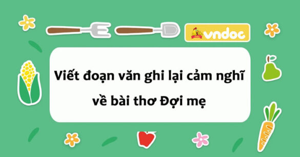 Đoạn văn ghi lại cảm nghĩ về bài thơ Đợi mẹ lớp 8